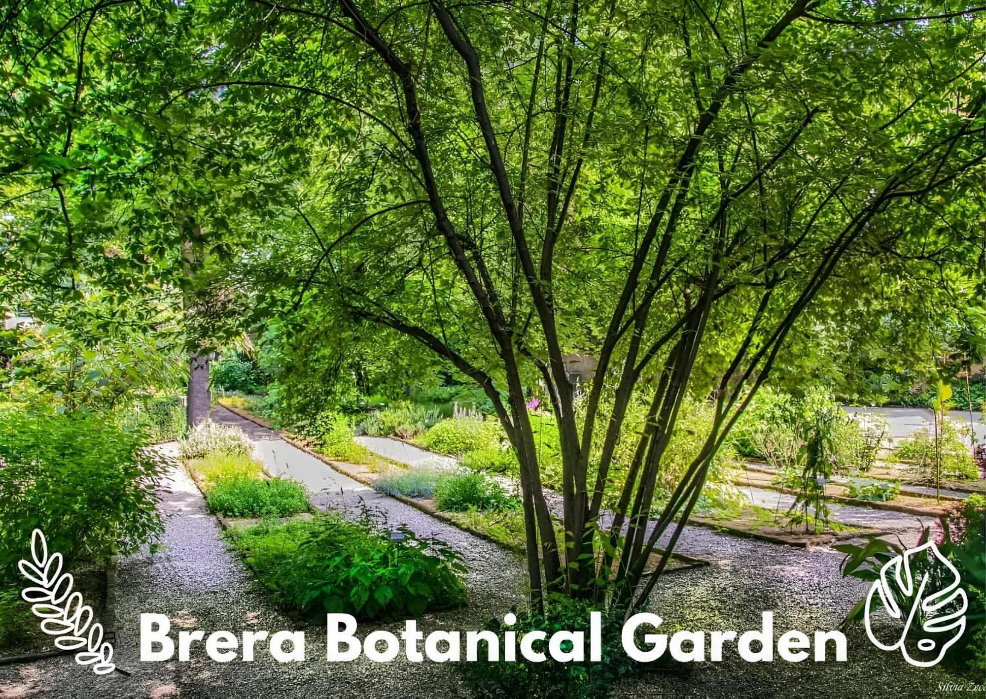 밀라노 Brera Vip Spotlight - Brera - Duomo - Castello Sforzesco - Lanza Metro M2 아파트 외부 사진